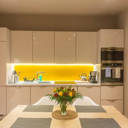 The Reispower - Brand New Luxury 2br Appartement Colmar